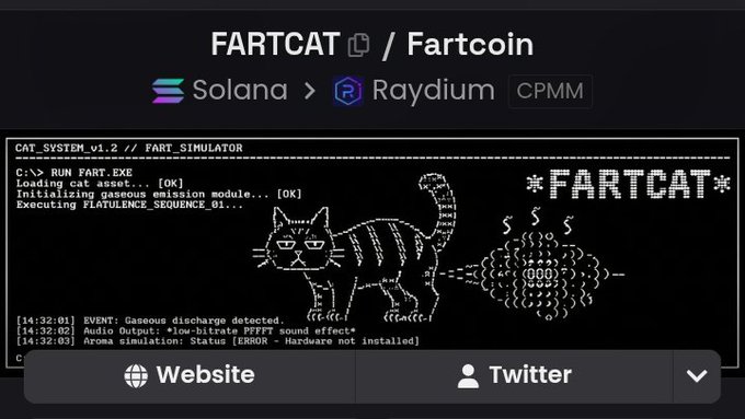 A screenshot of a cryptocurrency page for 'FARTCAT / Fartcoin' on Solana via Raydium CPMM, featuring ASCII art of a cat emitting gas fumes with terminal text.