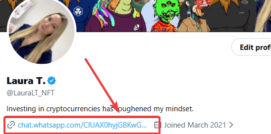 A Twitter profile for Laura T. (@LauraT_NFT) with a red arrow pointing to her bio link "chat.whatsapp.com/CIUAX0hygGBKwG..." below the text "Investing in cryptocurrencies has toughened my mindset."