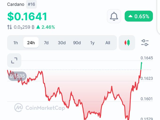 The image displays a CoinMarketCap 24-hour price chart for Cardano (ADA) showing a current price of $0.1641 with a 0.65% gain, illustrating the recent dip-and-recovery pattern referenced in the post about ADA pumping and heading toward $0.5.