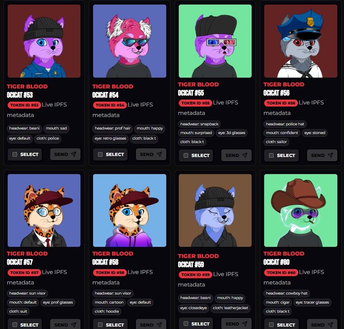 The image displays a collection of eight NFT cards titled "TIGER BLOOD OCICAT" featuring various stylized cat characters with unique traits and corresponding Token IDs (#53-#60) on the IPFS network, with the post announcing that 5 OCICAT NFTs are being gifted as prizes to participants who follow, engage with posts, and stand out in the OCICAT ecosystem.