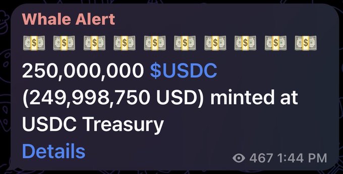 A "Whale Alert" notification shows that 250,000,000 USDC (worth $249,998,750 USD) was minted at the USDC Treasury, corresponding to the post about $250 million in new liquidity being issued on Solana. The alert includes ten money bag emojis, a "Details" link, and shows 467 views at 1:44 PM.