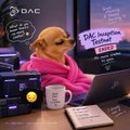 A thumbnail image featuring a Shiba Inu dog wearing a pink hoodie sitting at a desk with a laptop and coffee mug. Text reads 'DWC', 'DAC', and 'DWC Inception Bulletin Free Certified'.