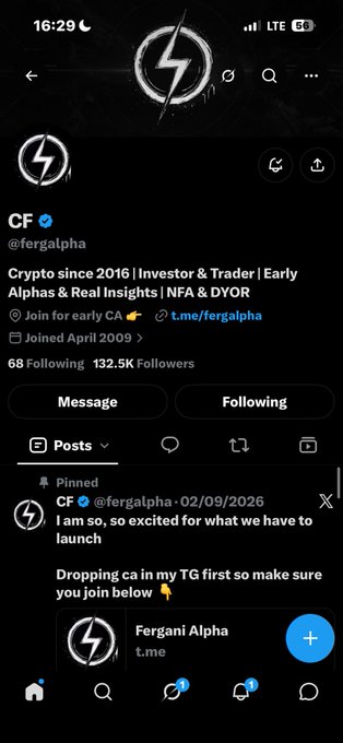 A mobile screenshot of a Twitter/X profile for "CF @fergalpha", an investor and trader, showing a pinned post about an upcoming launch and promoting the "Fergani Alpha" Telegram channel.