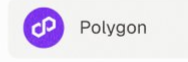 A close-up screenshot showing the purple "Polygon" logo icon in a list of blockchain networks.