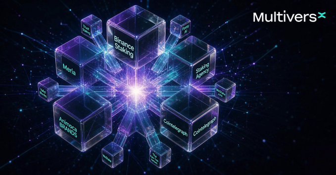 A digital graphic for "MultiversX" showing a network of interconnected, glowing purple and blue cubes displaying various project names including Binance Staking, Staking Agency, Meria, Animoca Brands, and Cointelegraph against a dark starry background.