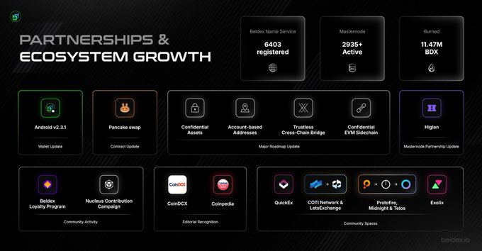 A presentation slide titled "PARTNERSHIPS & ECOSYSTEM GROWTH" displays key metrics for Beldex including 6403 BNS registrations, 2935+ active MasterNode, and 11.47M BDX burned, alongside partner logos like Pancake Swap, CoinDCX, QuickEX, and Exotix.
