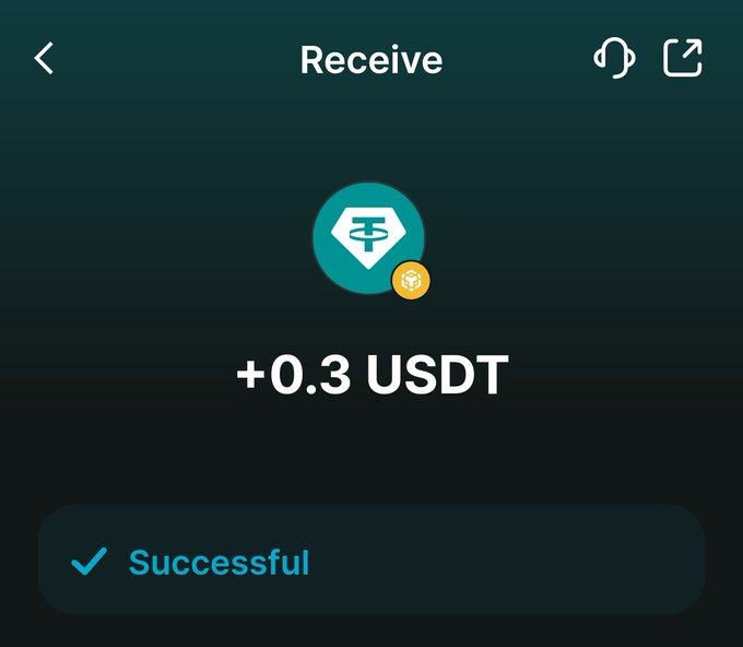 A mobile app screen showing a successful receive transaction of '+0.3 USDT' for Tether (USDT).