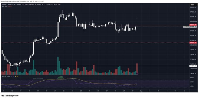 A TradingView candlestick chart of Bitcoin (BTCUSDT.P) showing price action between approximately 74,000 and 97,000 USDT, with volume bars and RSI indicator below.