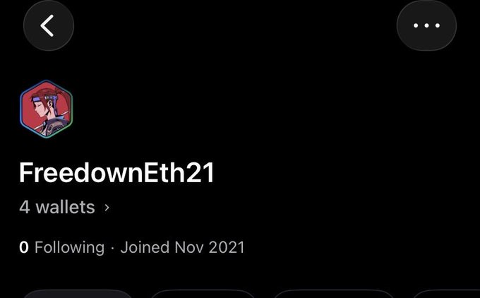 A screenshot of a social media or app profile page with a dark theme, displaying the username 'FreedownEth21', a note saying '4 wallets', and '0 Following · Joined Nov 2021' below a cartoon avatar.