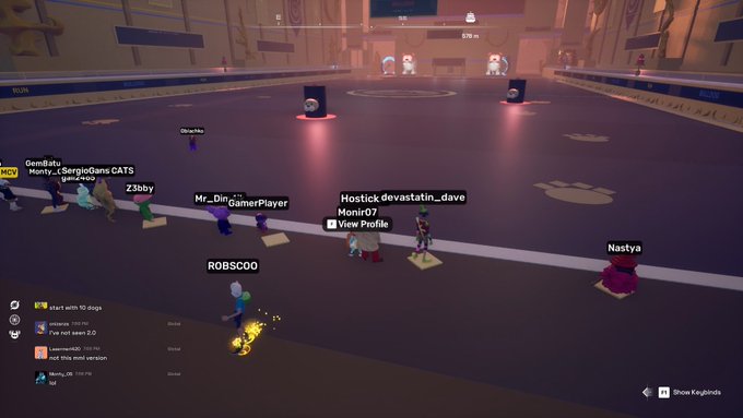 A screenshot from a video game showing multiple player avatars in an arena, with usernames like 'GeneBats', 'Mr._DingoGamerPlayer', 'Hostick devastatin_dave', 'ROBSCOO', and 'Nastya' displayed above them, and a chat window in the bottom left corner.