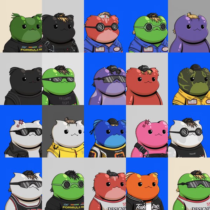 A grid displays 20 colorful, cartoon-style frog NFT characters, each with distinct features such as sunglasses, hats, and outfits, set against blue and gray backgrounds. Visible text includes "FORMULA FR," "TRAINING DEPT," "DESIGNE," and "Tac~tro," aligning with the post about ApeChurch Deployer sweeping 20 DSNR NFTs.