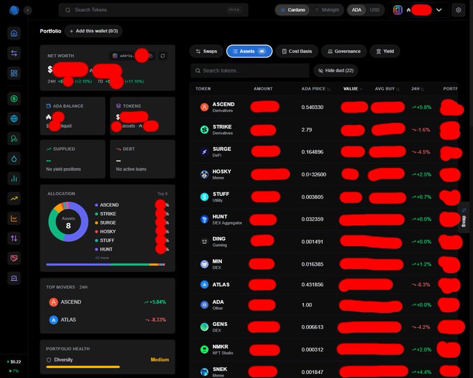 A cryptocurrency portfolio dashboard screenshot with numerous red redactions hiding financial values, showing tokens like ASCEND, STRIKE, SURGE, HOSKY, STUFF, and HUNT.