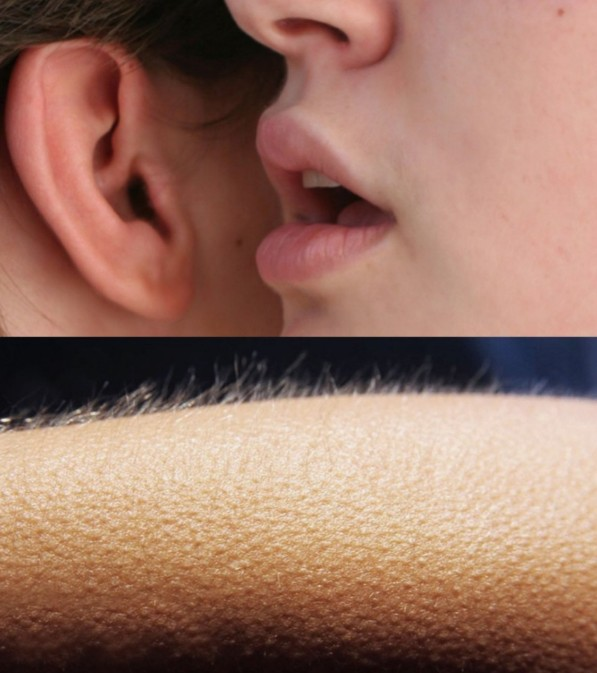A close-up image showing a person's mouth whispering into another's ear on top, with a textured close-up of skin below.