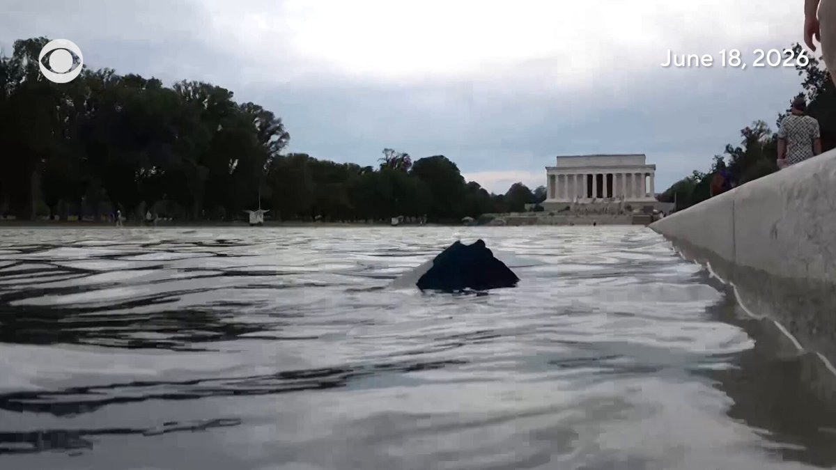 The image shows a person standing near a body of water, possibly a lake or pond, with a dog lying down next to them. The photo appears to have been taken during the day under cloudy skies. In the background, there are trees visible, adding to the natural setting. The caption on the post reads "PAGING DOGE and @elonmusk". This suggests that someone has posted this image on social media or a similar platform, possibly as part of a conversation about dogs or nature.