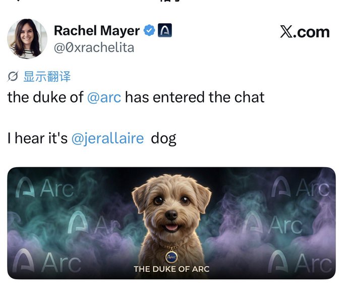 A screenshot of a tweet from Rachel Mayer (@0xrachelita) on X.com saying "the duke of @arc has entered the chat / I hear it's @jerallaire dog," accompanied by an image of a fluffy brown dog labeled "THE DUKE OF ARC."