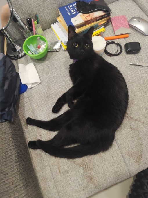 A black cat lies stretched out on a textured gray ottoman, surrounded by desk clutter including books, pens, a green bowl, and a computer mouse.