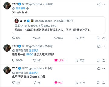 The image shows a series of X (formerly Twitter) posts from @Cryptochicks referencing "Sis said it all" and discussing the 14th anniversary of Binance's founding on October 7, 2025, with mentions of $STCC ("谁想要一些 $STCC 并加入这段旅程?") and $BNB ("永不怀疑 $BNB 酋长的力量") alongside engagement metrics showing high view counts of 617万 and 557万. The post caption reflects on the current market vibe feeling similar to last October's bullish atmosphere, suggesting that those who profited then were independent thinkers, connecting the celebratory Binance anniversary posts to broader crypto market optimism.