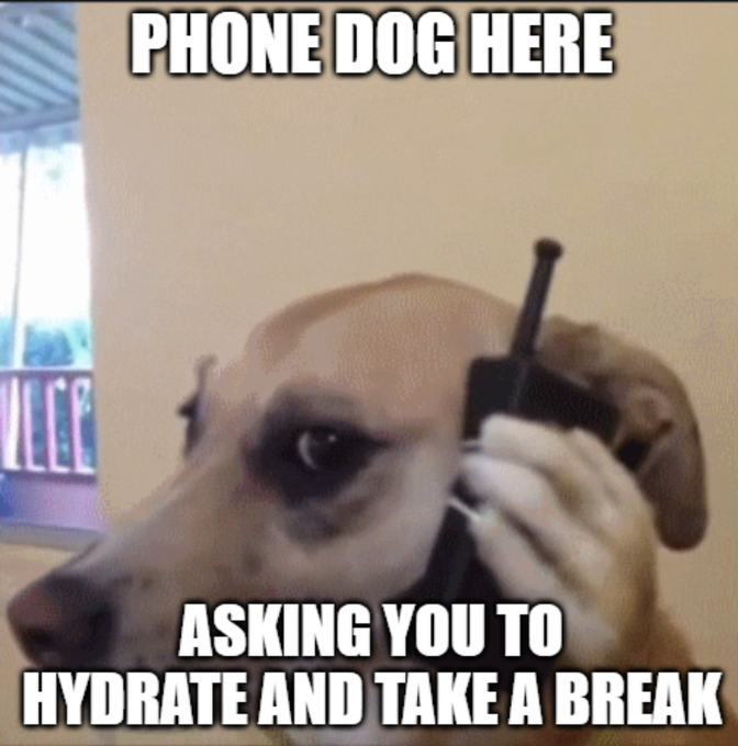 A meme-style image shows a dog holding an old cordless phone to its ear, with text reading 'PHONE DOG HERE' at the top and 'ASKING YOU TO HYDRATE AND TAKE A BREAK' at the bottom.