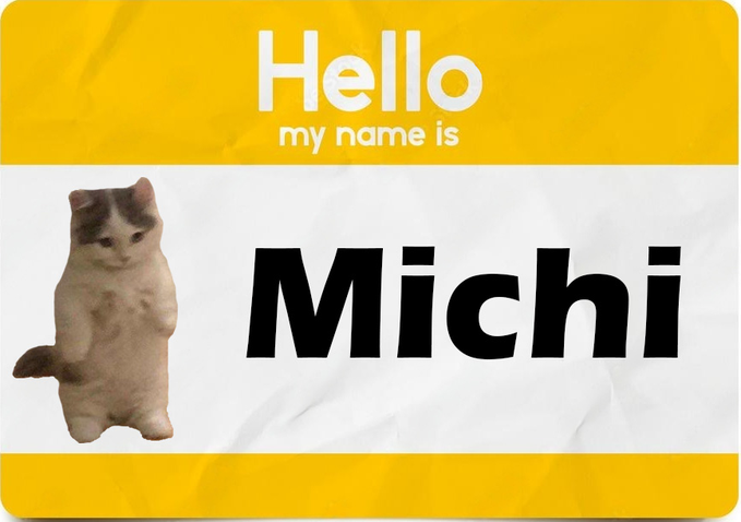 A classic "Hello, my name is" sticker features a small white and gray cat standing on its hind legs next to the name "Michi," playfully introducing the cat as "gmichi."