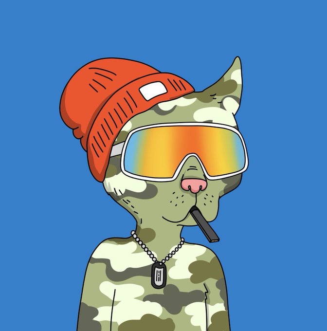 An illustration of a cool cartoon cat wearing an orange beanie, reflective orange ski goggles, and a camo shirt with dog tags, smoking a cigarette against a blue background.