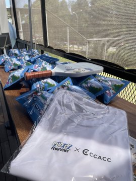 Stacked clear plastic bags labeled 'PENGUINS x CCACC' containing Penguin NFTs, piled on a wooden table near a window with a baseball bat resting on top.