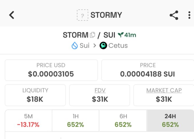 Cryptocurrency tracking page for STORMY token on Sui network via Cetus, priced at $0.00003105 USD (0.00004188 SUI) with $18K liquidity and $31K market cap, showing mixed performance across timeframes (-13.17% 5M, 652% 1H/6H/24H).