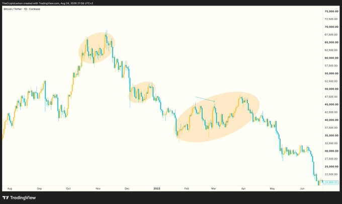 A Bitcoin/Tether cryptocurrency candlestick chart on TradingView from August 2021 to mid-2022, with three highlighted consolidation zones showing BTC's decline from highs near $69,000 down to around $20,000, illustrating the dramatic price collapse that prompted the "Wait, what? $BTC" reaction.