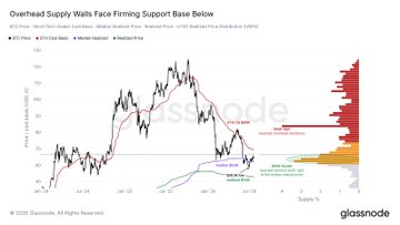 This chart visualizes Bitcoin's price