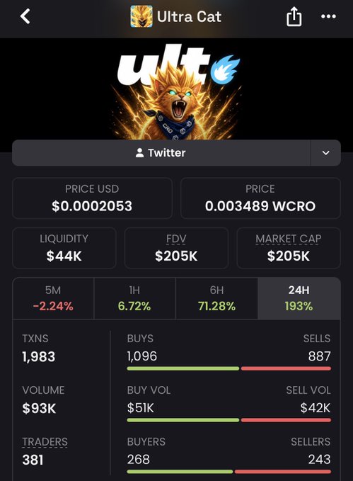 A cryptocurrency token page for Ultra Cat showing a price of $0.0002053, a market cap of $205K, and a 24H change of 193% with 1,983 transactions.