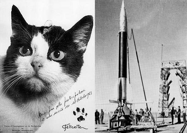 A black and white photo split between a black and white cat named 'Felicette' (the first cat sent into space in October 1963) and a rocket on a launch pad.