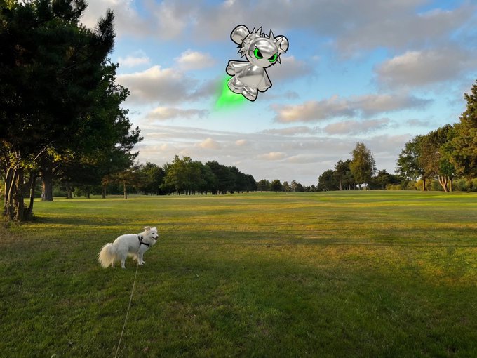 A small white dog stands on grass in a park, with a cartoon animated flying pony character edited into the sky above.