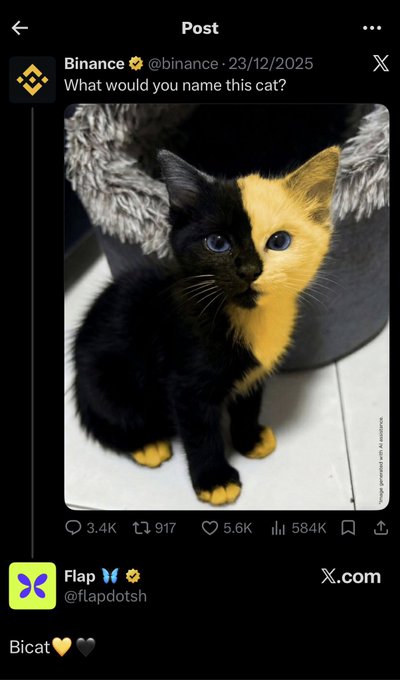 A screenshot of an X (Twitter) post from Binance dated 23/12/2025 shows a half-black, half-orange kitten asking 'What would you name this cat?' The post by @flapdotsh replies 'Bicat' with heart emojis.