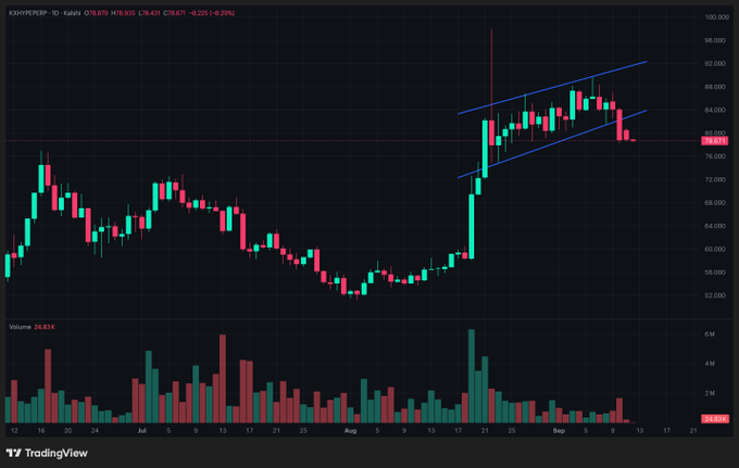 A daily candlestick chart for HYPEPERP (HYPE/USDT perpetual futures) on TradingView, showing a sharp rally to around 80 followed by consolidation within an ascending channel that has since broken down, with price currently near 78.61 and a +3.26% gain. The post highlights that despite HYPE's strength near all-time highs, the breakdown below its rising channel could lead to further downside, advising caution with shorts and strict risk management.