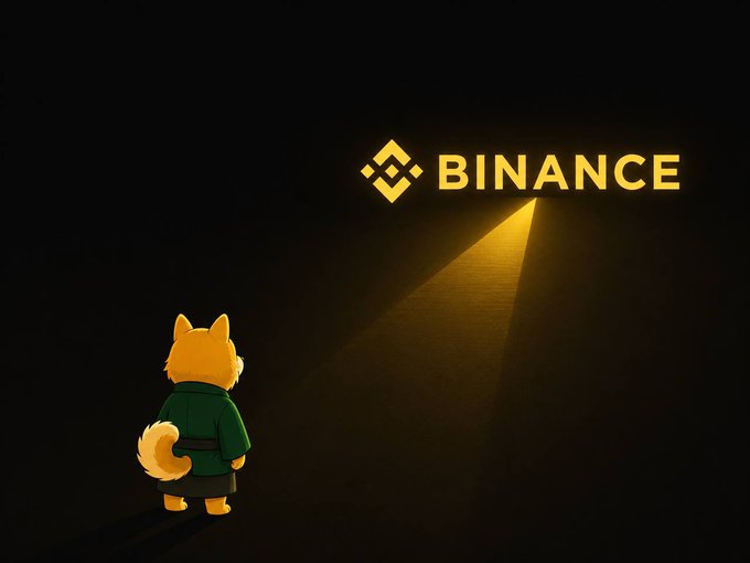 An orange dog-like cartoon character in a green jacket stands in darkness, gazing up at a glowing yellow "BINANCE" logo that beams light down toward it—visually echoing the caption's metaphor of following the guiding light, with the prominent Binance branding reinforcing the post's reference to the $HACHIKO token.