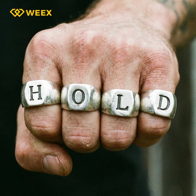 A tattooed fist wearing four silver rings spelling 'HOLD' in a WEEX exchange promotional image.