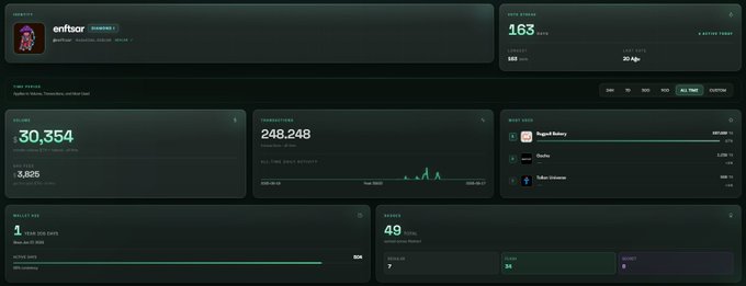 A dashboard analytics interface showing key metrics for an account named 'enfsor' with a 'FRESH FANSCH' score of 163, 30,354 volume, 248,248 transactions, and 49% trust score.