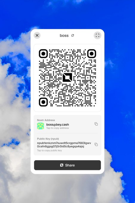 A mobile app screenshot showing a QR code for the Nostr address 'boss@bey.cash' displayed against a sky background with clouds, including a public key and share button.
