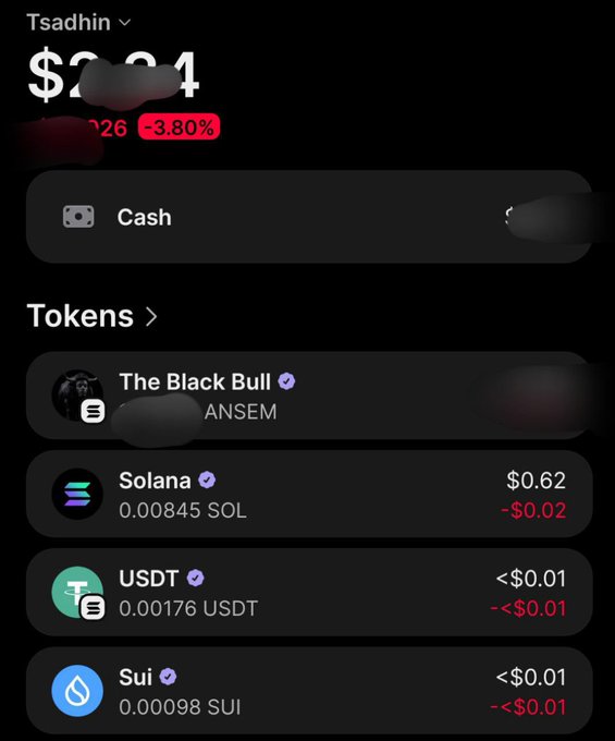 A mobile crypto wallet screen displaying a portfolio named 'Tsadhin' showing a -3.80% loss, with holdings including The Black Bull (ANSEM), Solana (0.00845 SOL, $0.62), USDT, and Sui tokens.
