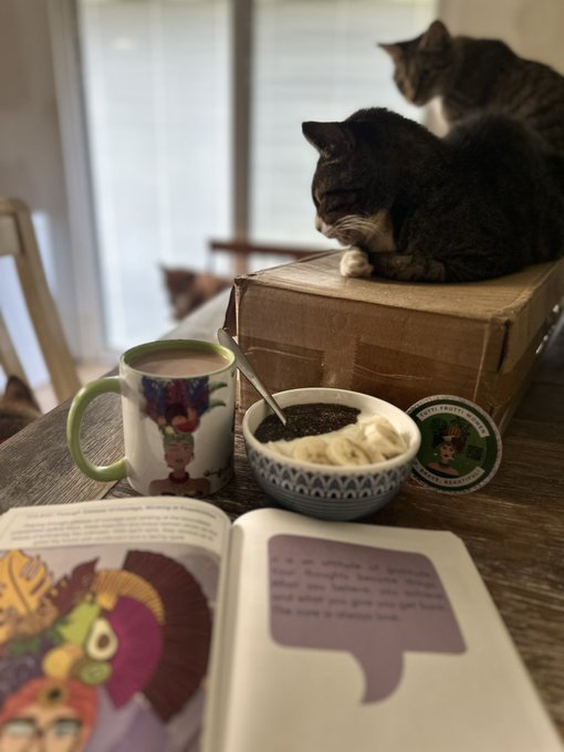 Two tabby cats rest near a window in the background, while a mug with a colorful design, a bowl of what appears to be coffee or oatmeal with whipped cream, and an open book with illustrations sit on a wooden table in the foreground.