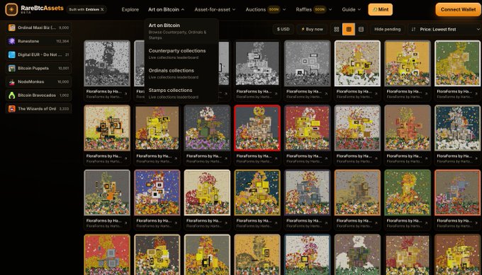 The image displays the RareBtcAssets marketplace, specifically the "Art on Bitcoin" section under "Ordinals collections," showcasing a gallery of pixel art NFT pieces titled "FloraForms by Harto." The page features a grid of colorful botanical-inspired digital artworks with filters for Counterparty, Ordinals, and Stamps collections, and an orange "Connect Wallet" button in the top right corner.