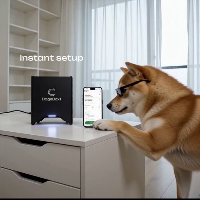 The image features a brown dog standing next to a white desk with a computer setup, including a cell phone and a DOGBOX1 device. The dog appears to be wearing glasses and is looking at the camera while standing near the desk. The text in the image reads "100chiếc DogeBox1 Đầu tiên gần như sắp cháy hàng rồi ae Con hàng máy cực hợp setup bàn làm việc Mình vẫn đây".