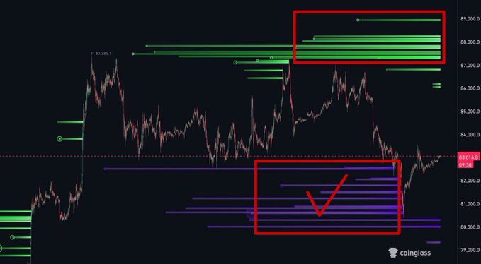 A cryptocurrency chart from coinglass shows price levels with horizontal green and purple lines, featuring two red highlighted boxes marking resistance zones near 89,000 and support zones around 80,000-82,000, with a red checkmark.