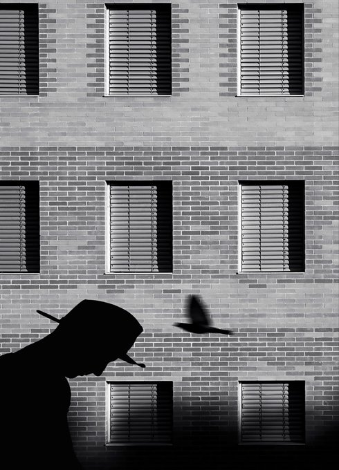 The image features a man wearing a hat, standing next to a brick building with multiple windows. The photo has been edited to create an interesting effect by making the man's shadow appear as if he is flying through the air. This artistic alteration adds a sense of movement and dynamism to the scene.
