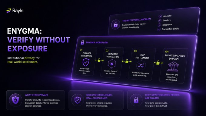 A Rayls promotional graphic titled 'ENYGMA: VERIFY WITHOUT EXPOSURE' outlining a four-step 'ENYGMA WORKFLOW' involving ZK Proof Generation, Network Verification, DvP Settlement, and Private Balance.