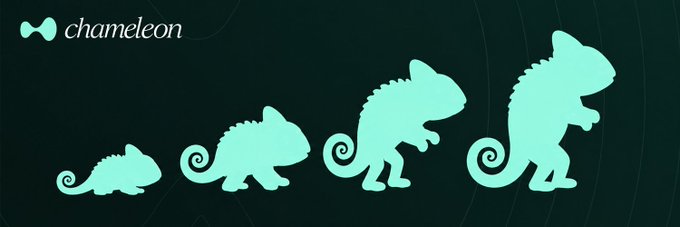 Four green chameleon silhouettes progressively grow in size from left to right against a dark background, with the word "chameleon" displayed in the upper left corner. The evolving sequence visually parallels the "origin story of Hyperliquid," suggesting a brand identity built on transformation and growth—much like a chameleon adapting over time.