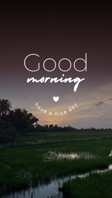 A 'Good morning, have a nice day' greeting with a heart symbol is displayed over a serene landscape of green rice fields and water at dusk.