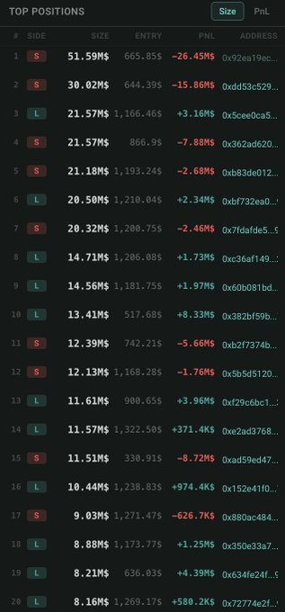 A screenshot of a trading leaderboard titled 'TOP POSITIONS' showing the top 20 trades by size, entry price, PnL, and wallet addresses.
