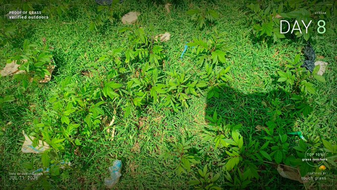 A top-down camera view from a wildlife camera labeled 'PROOF OF GRASS verified outdoors' showing green plants and grass on DAY 8, with the date 'JUL 11 2026' visible.