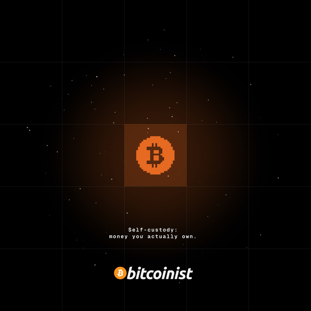 The image features a square with an orange Bitcoin symbol at its center, surrounded by small white stars. Below the Bitcoin symbol, there's text that reads "Self-custody; money you actually can't get." The background of the image is black, and the words "Bitcoinist" are written in white below the Bitcoin symbol.