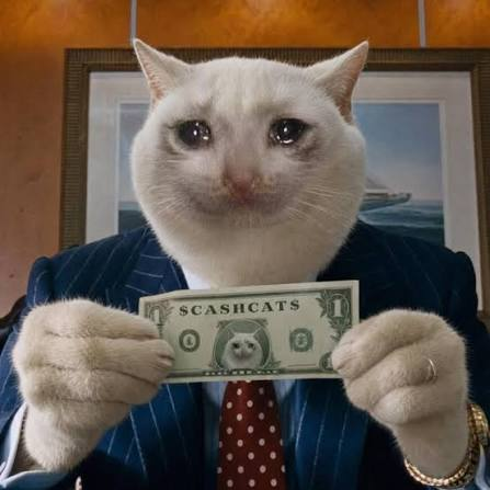 A white cat dressed in a pinstripe suit holds up a prop "$1 CASHCATS" bill, visually representing the post's bullish prediction that the "Cashcat" meme coin will surge into the billions from its current low market cap range.